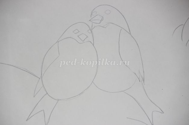 Снегири на ветке: часть 1 Снегири на ветке: часть 1