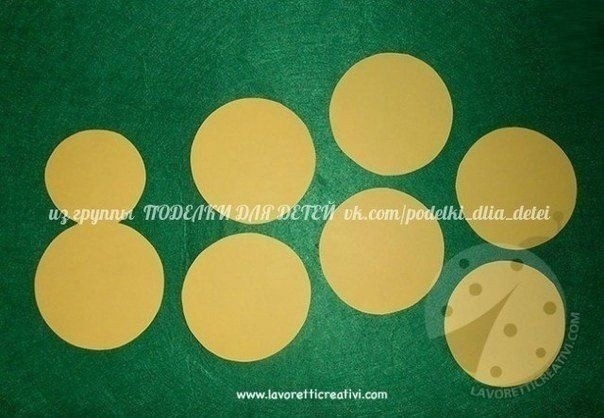 Цыплёнок в яйце