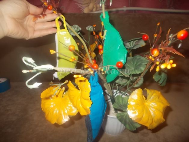 Чудо-дерево Чудо-дерево