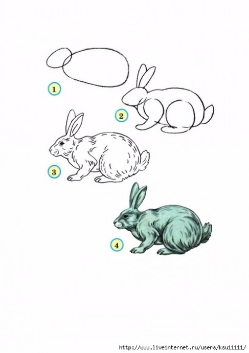 Уроки рисования: белки, ежики, слоники и зайчишки