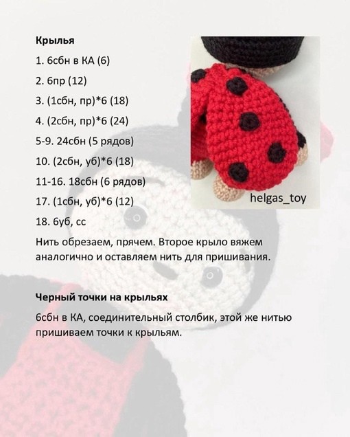 ​Божья коровка