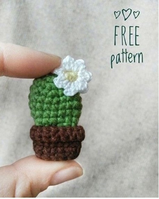 Кактус из пряжи Кактус из пряжи