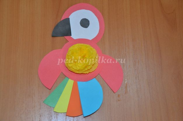 Мой любимый попугай