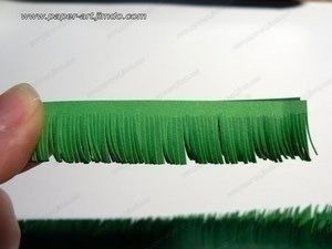 Еловая веточка