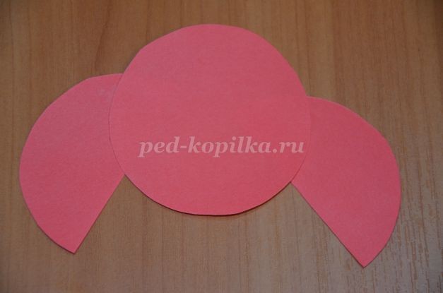 Мой любимый попугай