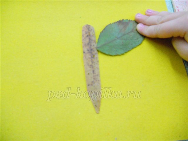 Аппликация из осенних листьев: бабочка