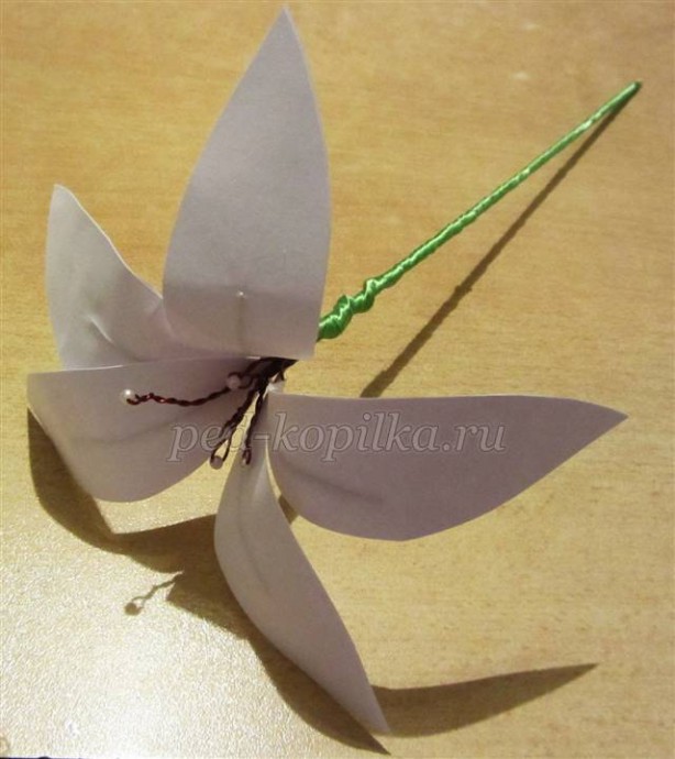 Лилия из бумаги детскими руками