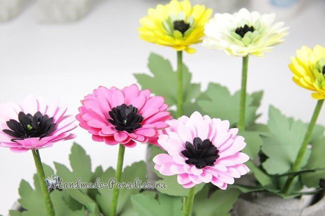 Герберы для мамы Герберы для мамы