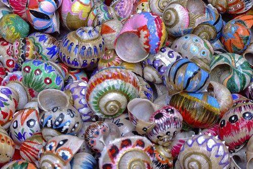 Расписные раковины