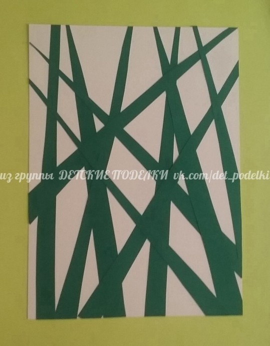 Разноцветные божьи коровки Разноцветные божьи коровки