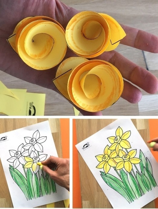 ​Интересные нарциссы