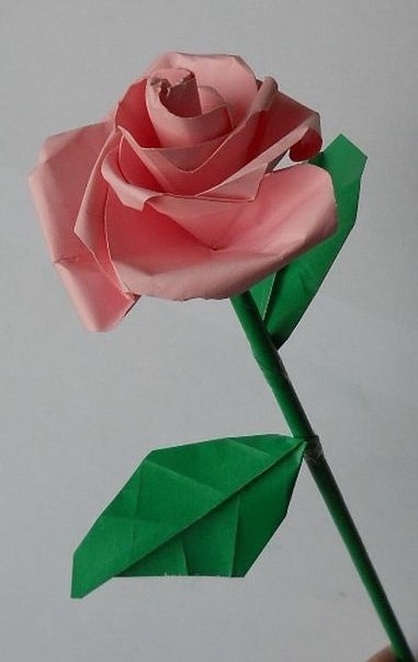 Роза из цветной бумаги
