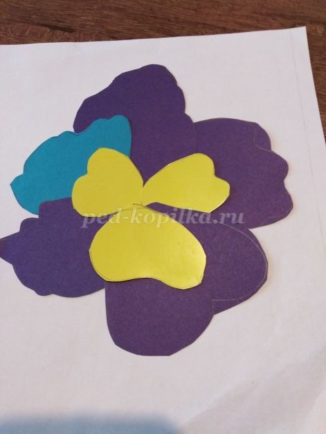 Анютины глазки