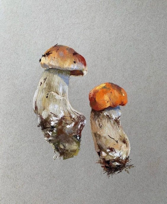​Рисуем с детьми грибы