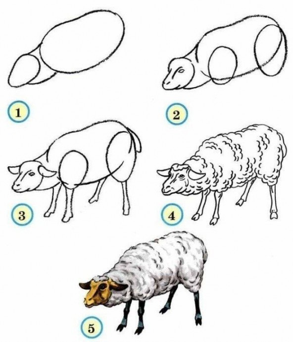 Как нарисовать животных