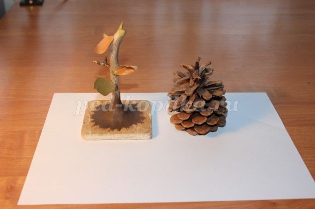 Прекрасная роза для лучшей мамы на свете