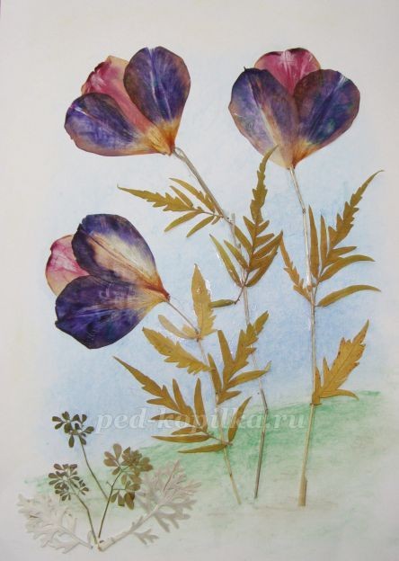 Цветочное чудо Цветочное чудо