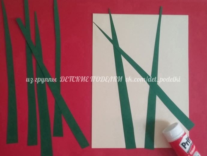 Разноцветные божьи коровки Разноцветные божьи коровки