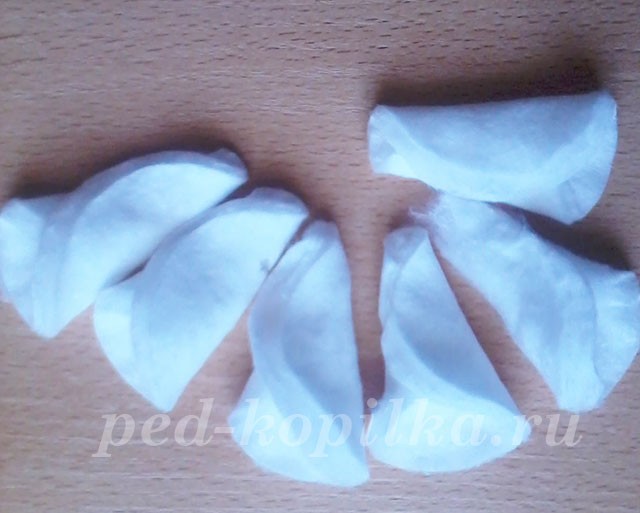 Поделки из ватных дисков: ромашки Поделки из ватных дисков: ромашки