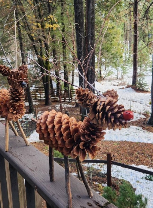 Шишкины идеи Шишкины идеи