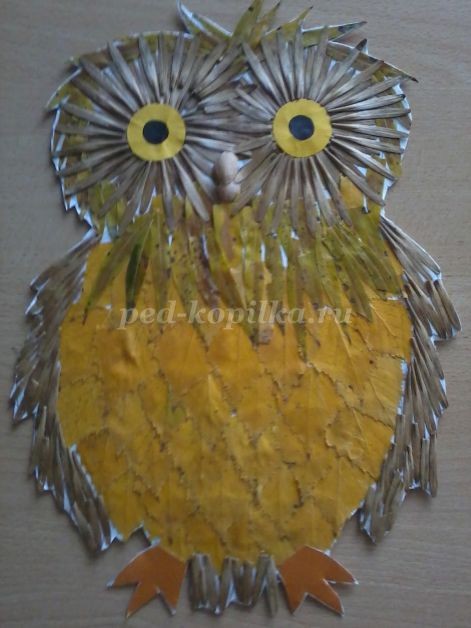 Совушка-сова из крылатки клёна: часть 3 Совушка-сова из крылатки клёна: часть 3