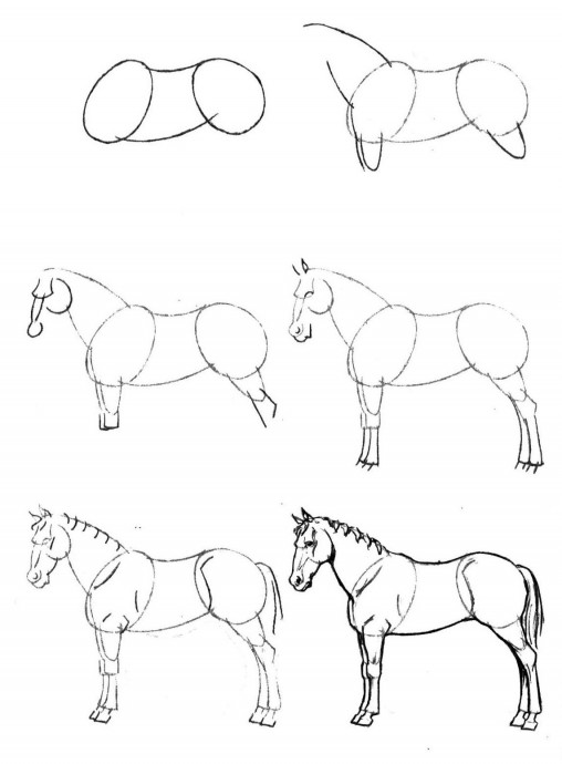 ​Как нарисовать лошадку