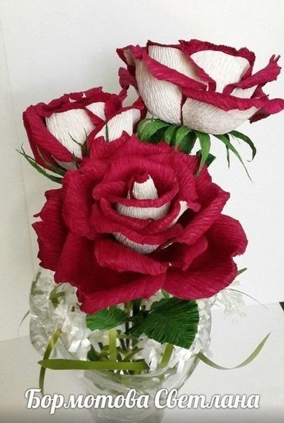 ​Двухцветные розы