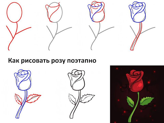 Рисуем розы