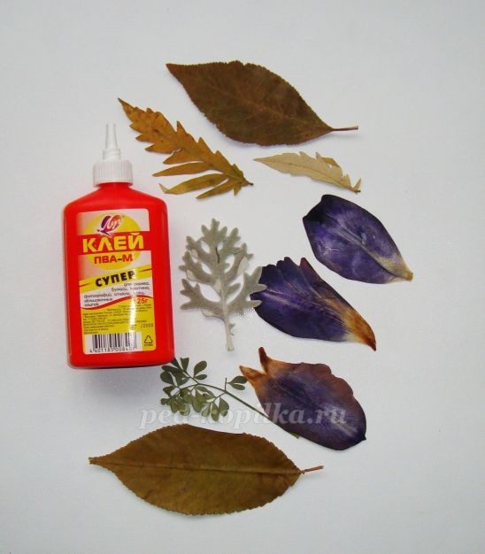 Цветочное чудо Цветочное чудо