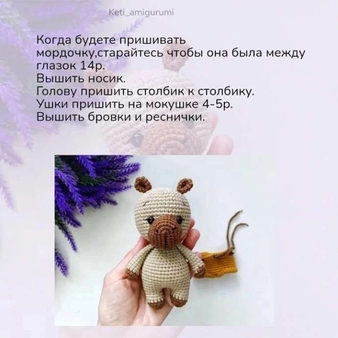 Капибара Капибара