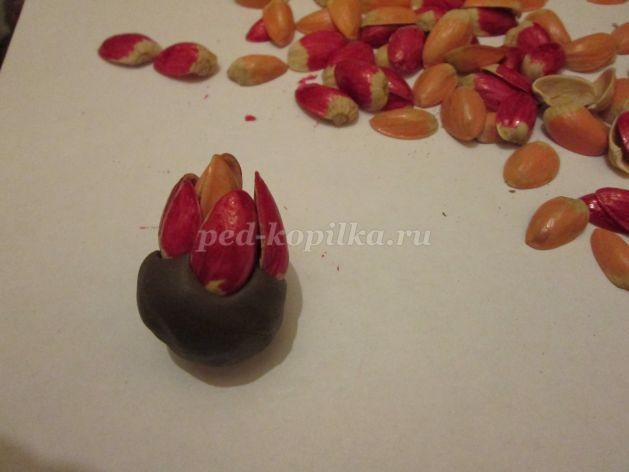 Топиарий из природного материала для детского сада: часть 1