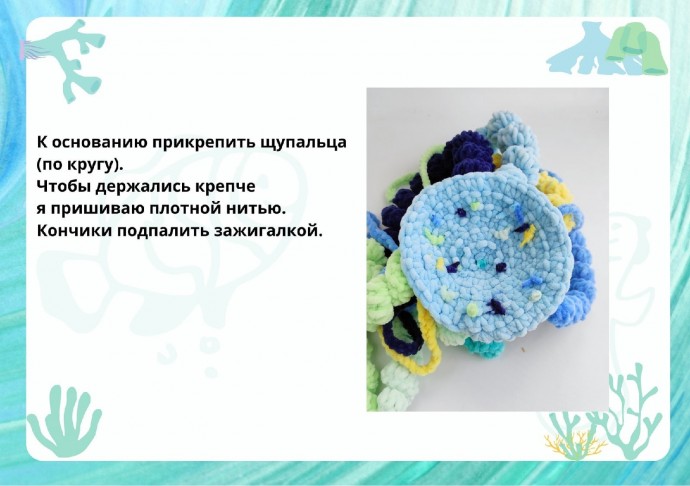 Очаровательная медуза Очаровательная медуза