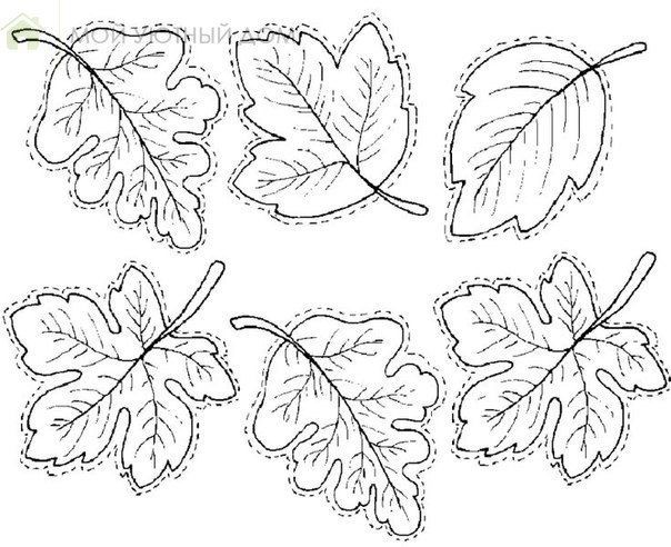 Шаблоны листьев для детского творчества