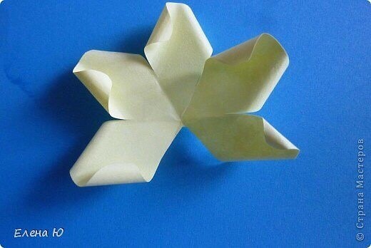 Объемные розы из бумаги Объемные розы из бумаги