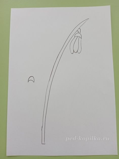 Витраж "Ландыши": часть 1