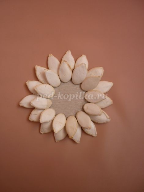 Цветы из тыквенных семечек детскими руками: мастер-класс Цветы из тыквенных семечек детскими руками: мастер-класс