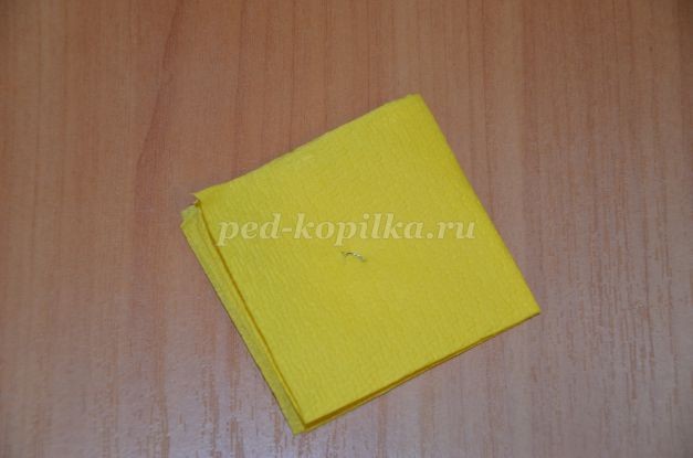 Мой любимый попугай