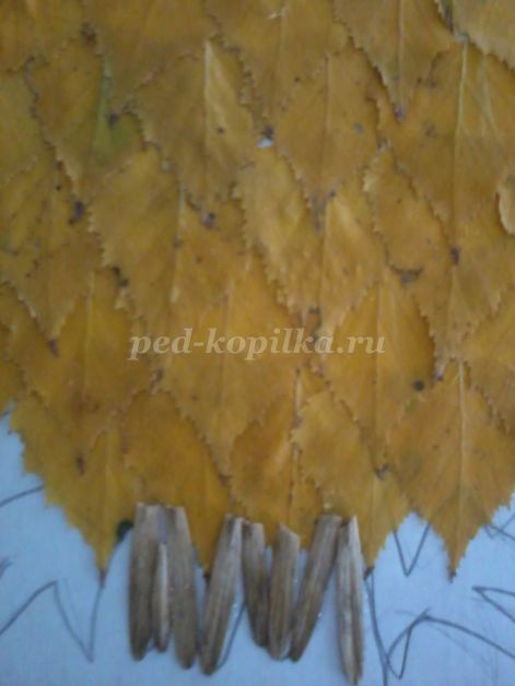 Совушка-сова из крылатки клёна: часть 3 Совушка-сова из крылатки клёна: часть 3