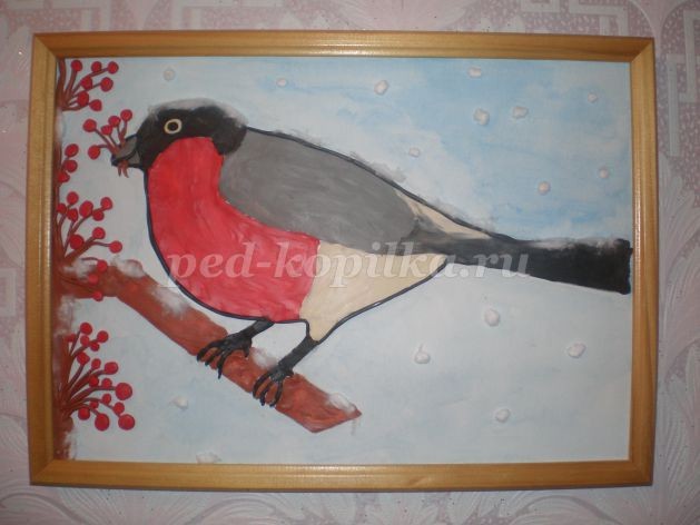 Пластилинография "Снегирь зимой": часть 2