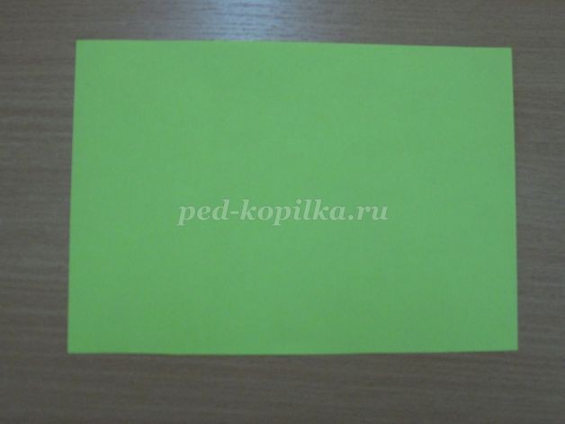 Бабочка и стрекоза среди весенних цветочков: часть 1