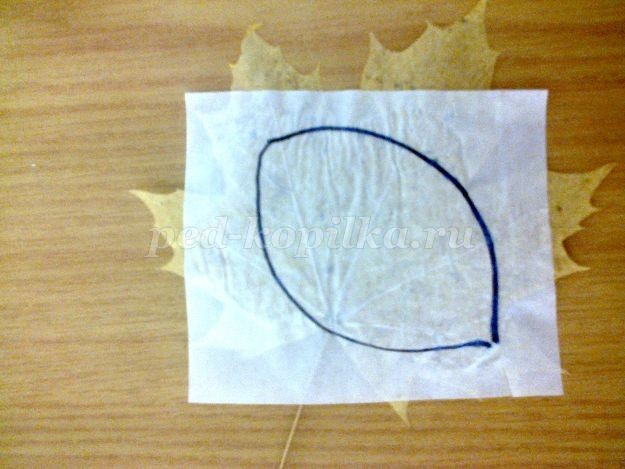 Аппликация из листьев: натюрморт Аппликация из листьев: натюрморт