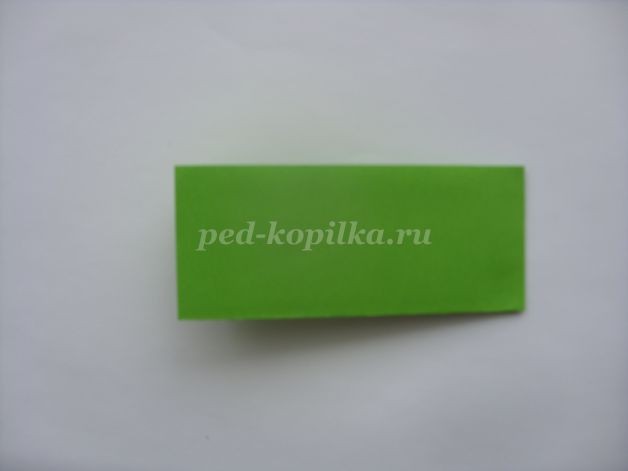 Объёмная открытка "Тюльпан": мастер-класс, часть 1