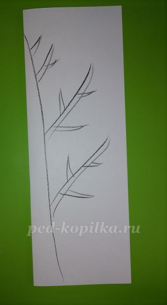 Дерево из цветной бумаги Дерево из цветной бумаги