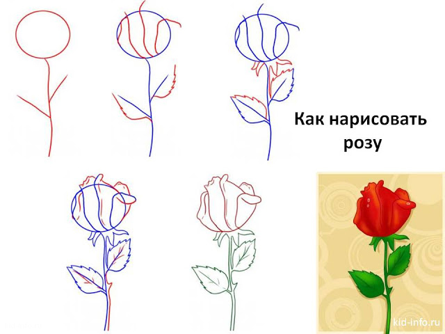 Рисуем розы