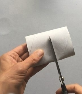 Цветущий кактус Цветущий кактус