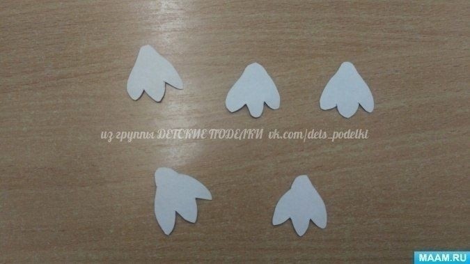 ​Подснежники в траве