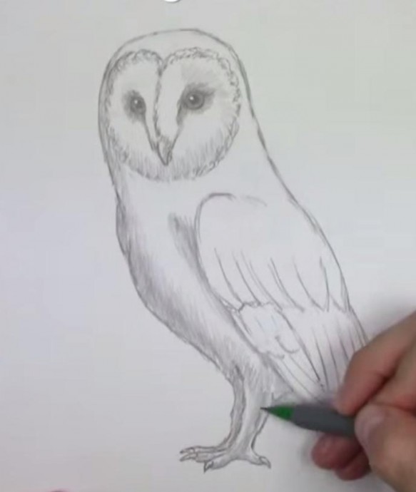​Рисуем с детьми сову