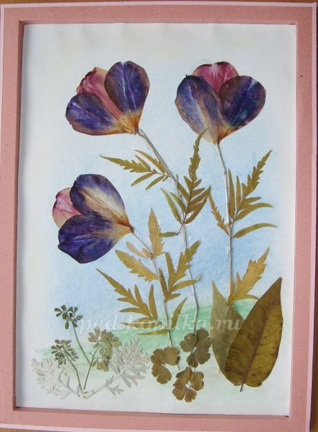 Цветочное чудо Цветочное чудо