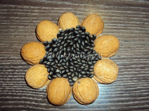 Подсолнух из природного материала: мастер-класс Подсолнух из природного материала: мастер-класс