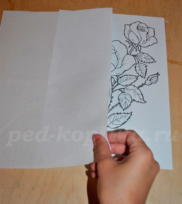 Розы из соленого теста: мастер-класс Розы из соленого теста: мастер-класс